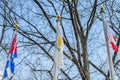 Flag of Cyprus Amongst Other Outside United Nations Headquarters in New York City, USA. Bare Tree in the Background