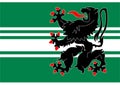 Flag of East Flanders Royalty Free Stock Photo