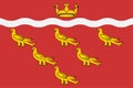 Flag of East Sussex in England