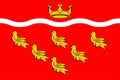 Flag of East Sussex in England