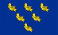 Flag of Sussex traditional and historic county England, United Kingdom of Great Britain and Northern Ireland, uk Saint