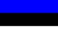 Flag of Estonia Royalty Free Stock Photo