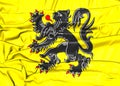 Flag of Flanders Region, Belgium.