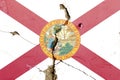 Flag of Florida painted on a cracked wall surface - American state flag background