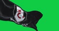 flag of Fulham Football Club waving in the wind on green screen