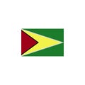 flag of Guyana colored icon. Elements of flags illustration icon. Signs and symbols can be used for web, logo, mobile app, UI, UX