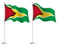 Flag of Guyana on flagpole waving in wind. Holiday design element. Checkpoint for map symbols. Isolated vector on white background