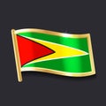 Flag of Guyana in the form of badge Royalty Free Stock Photo