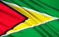 Flag of Guyana, Georgetown