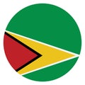 Flag of guyana Flag Isolated Vector Illustration you can edit it
