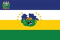 Flag of GuÃÂ¡rico State