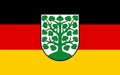 Flag of Homburg, Germany