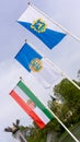 The flag of Hungary, the flag of BÃÂ©kÃÂ©s county and the flag of Szarvas - Szarvas, Bekes County, Hungary