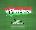 Flag of Hungary and soccer fans Royalty Free Stock Photo