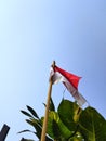 Flag of Indonesia red and white with blue Sky background