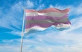 flag of Intergender waving in the wind at cloudy sky. Freedom an