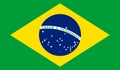 flag of Latin Americans Brazilians. flag representing ethnic group or culture, regional authorities. no flagpole. Plane layout,