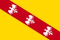 Flag of Lorraine in Grand Est is a French administrative region of France