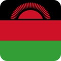 Flag Malawi Africa illustration vector eps