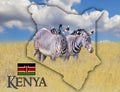 Flag Map of Kenya on which is a picture of a zebras. There is the text of Kenya and flag. There is It is national african