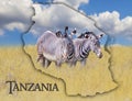 Flag Map of Tanzania on which is a picture of a zebras. There is the text of state. It is national african background with golden