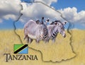 Flag Map of Tanzania on which is a picture of a zebras. There is the text of state. It is national african background with golden