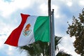 Flag of Mexico BCX 096