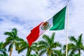 Against the backdrop of palm trees and blue sky Mexico flag. Royalty Free Stock Photo