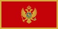 Flag of Montenegro Vector illustration