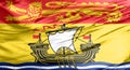 The flag of New Brunswick, consists of a golden lion passant on a red field in the upper third and a gold field