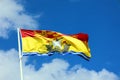 The flag of New Brunswick consists of a golden lion passant on a red field