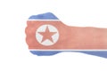 Flag of North Korea on male hand with clenched fist