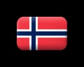 Flag of Norway. Matted Vector Icon and Button. Rectangular Shape Royalty Free Stock Photo