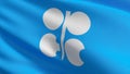 The flag of OPEC Organization of the Petroleum Exporting Countries is an intergovernmental organization of 13 nations. 3D