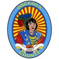 Flag of Osceola County in Florida of USA