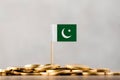 The Flag of Pakistan with Coins. Royalty Free Stock Photo