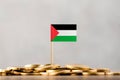 The Flag of Palestine with Coins. Royalty Free Stock Photo