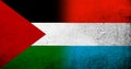 Flag of Palestine and The Grand Duchy of Luxembourg National flag. Grunge background