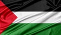 Flag of Palestine texture background