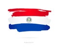 The flag of Paraguay. Abstract concept