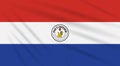 Flag Paraguay - back side swaying in wind, vector