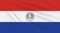 Flag Paraguay - front side swaying in wind, vector