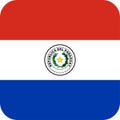 Flag Paraguay illustration vector eps