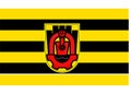 Flag of Pernik
