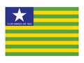 Flag of PiauÃÂ­ State Royalty Free Stock Photo