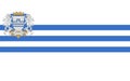 Flag of Podgorica of Montenegro