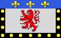 Flag of Poitiers, France