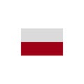 flag of Poland colored icon. Elements of flags illustration icon. Signs and symbols can be used for web, logo, mobile app, UI, UX