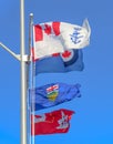 A Flag pole with several Army flags from Canada Alberta waving during Remembrance Day Royalty Free Stock Photo