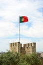 Flag of Portugal in the wind Royalty Free Stock Photo